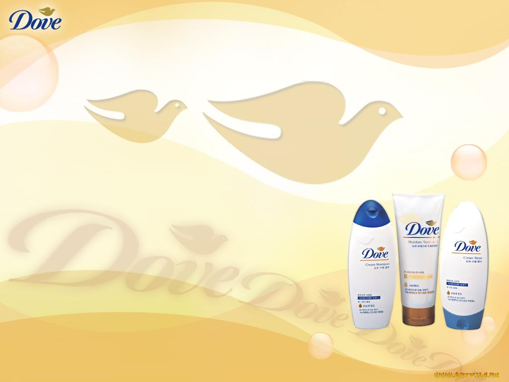 , dove